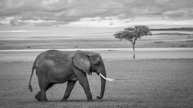Serengeti National Park
